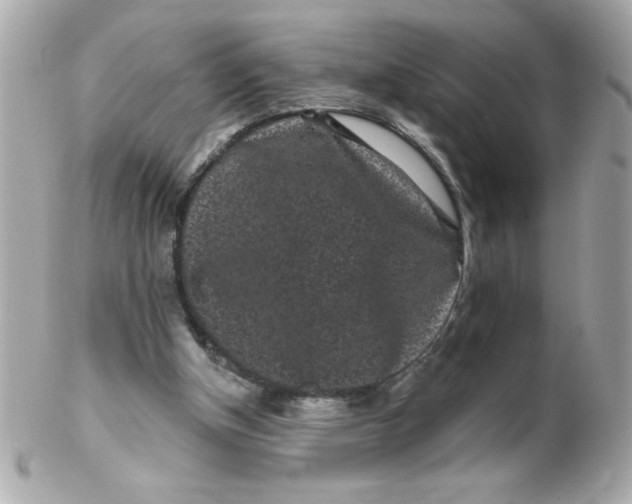 X0000102310154200808152050