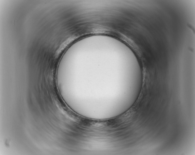 X0000102310155200808152050