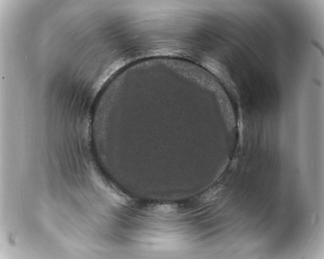 X0000102310156200808152050