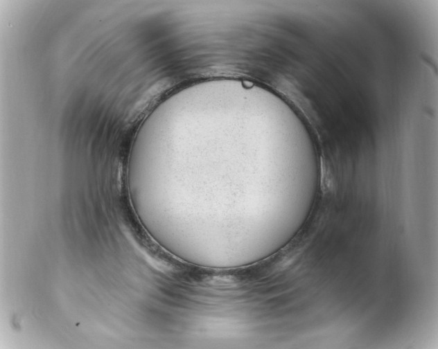 X0000102310157200808152050