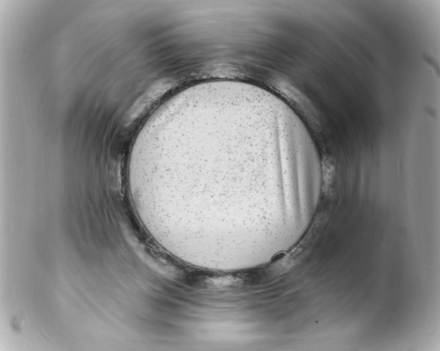 X0000102310158200808152050