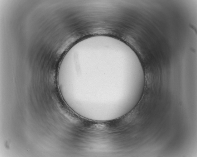 X0000102310159200808152050