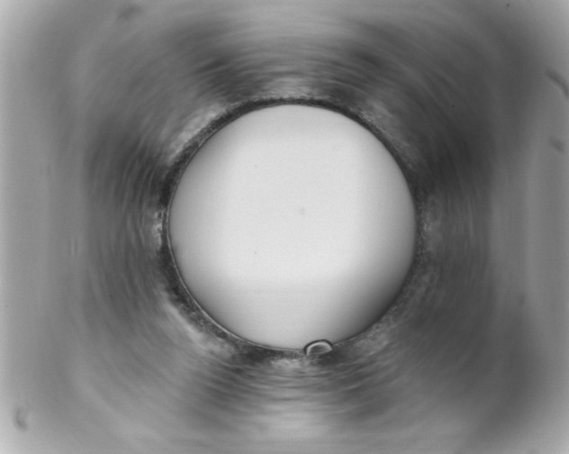 X0000102310160200808152050