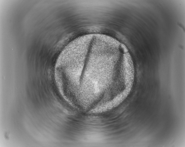 X0000102310161200808152050