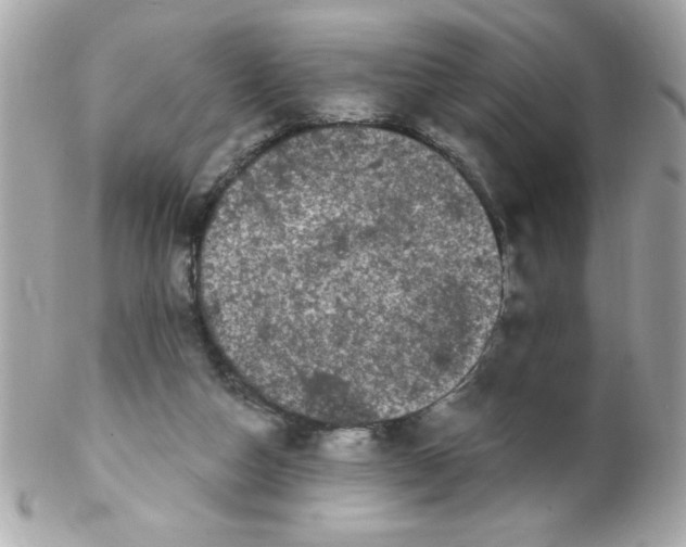 X0000102310162200808152050