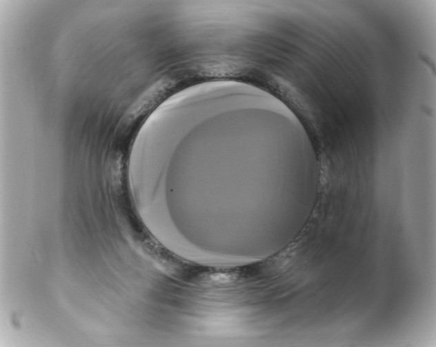 X0000102310163200808152050