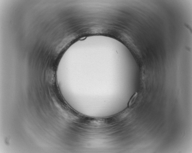 X0000102310164200808152050