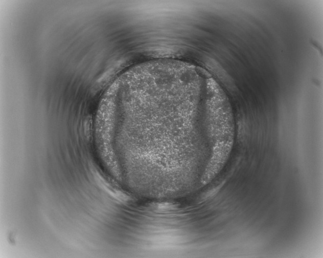 X0000102310165200808152050