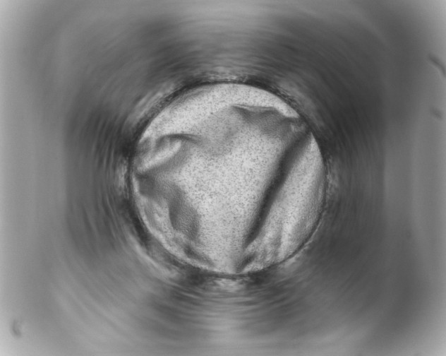 X0000102310166200808152050