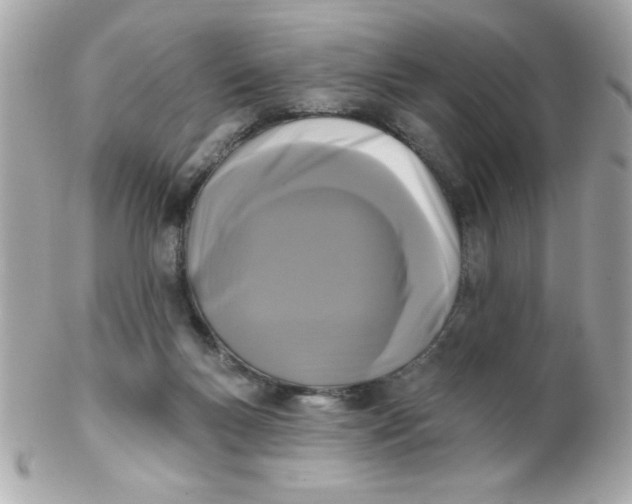 X0000102310167200808152050