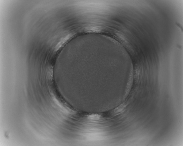 X0000102310168200808152050