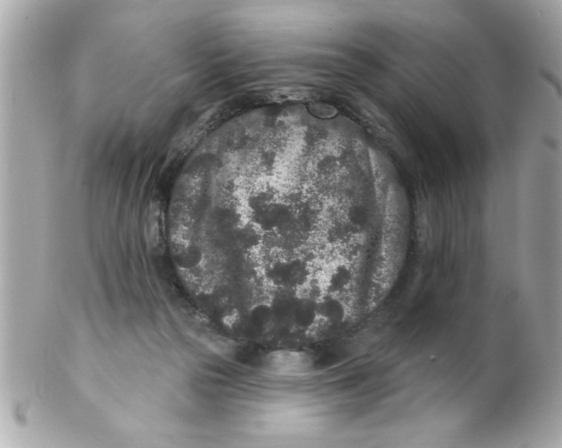 X0000102310169200808152050