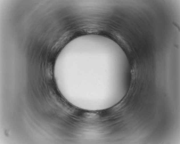 X0000102310170200808152050