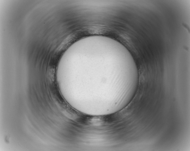 X0000102310171200808152050
