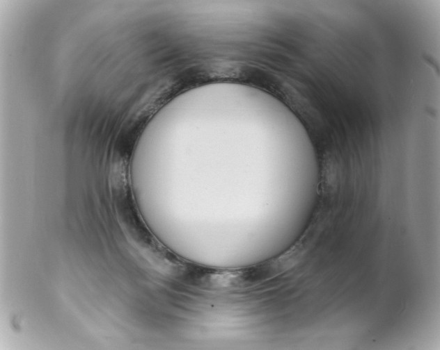 X0000102310172200808152050