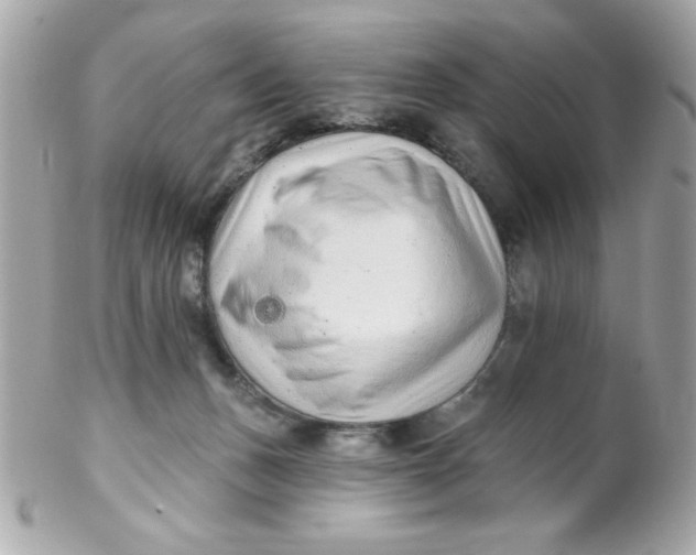 X0000102310175200808152050