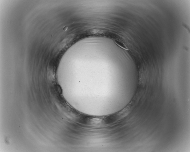 X0000102310176200808152050