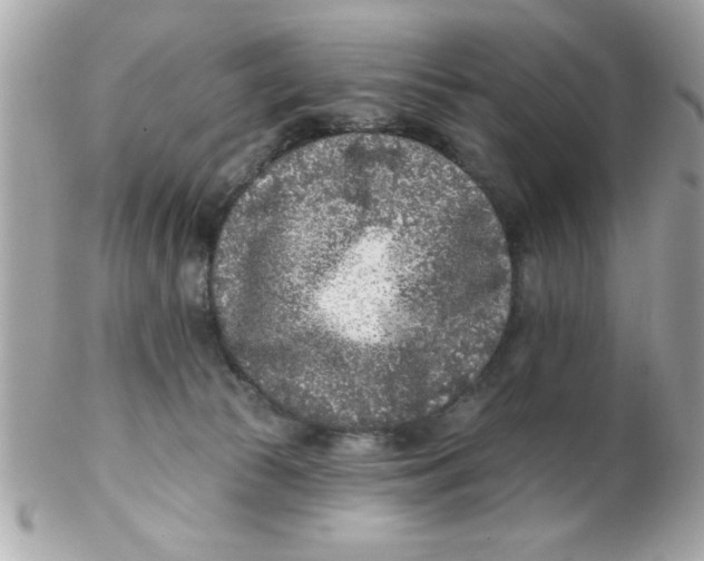 X0000102310177200808152050