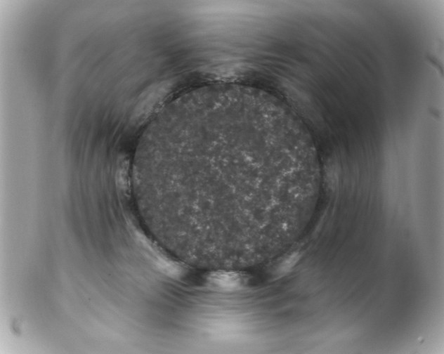 X0000102310181200808152050