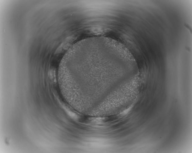 X0000102310182200808152050