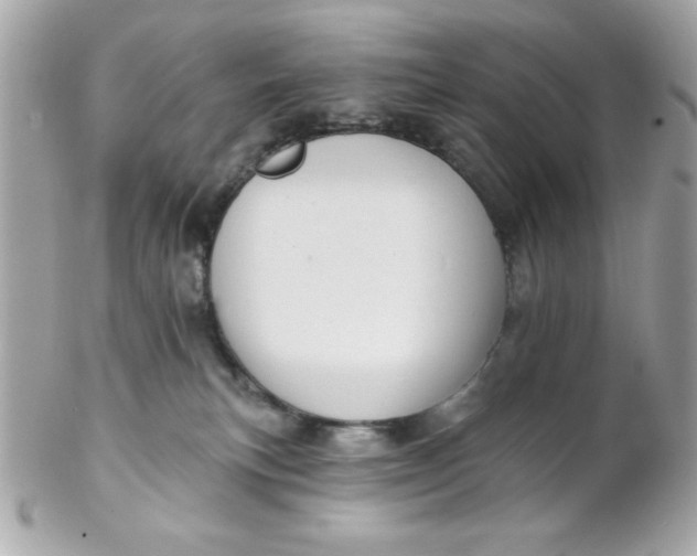 X0000102310183200808152050