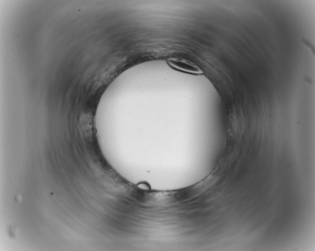 X0000102310184200808152050