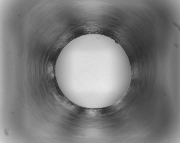 X0000102310187200808152050