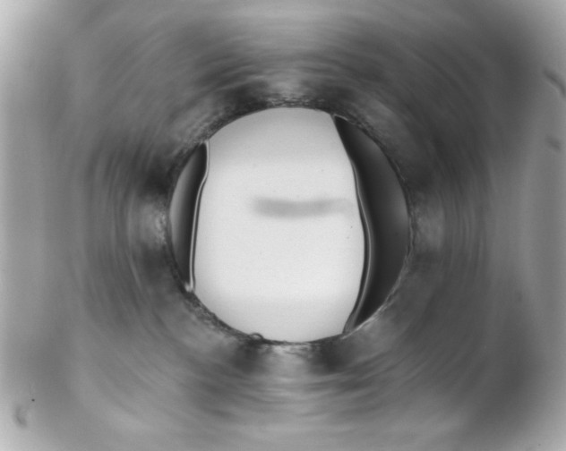 X0000102310188200808152050