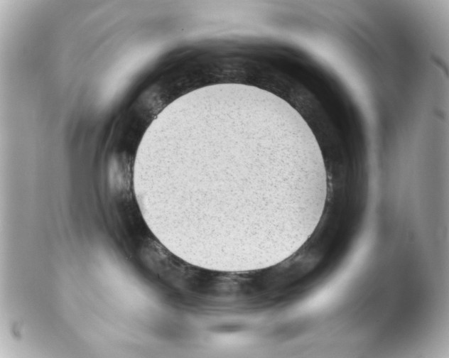 X0000102310190200808152050