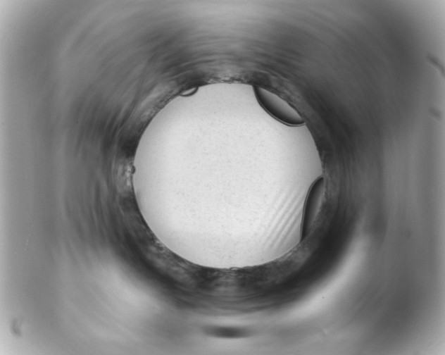X0000102310191200808152050