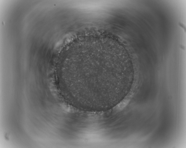 X0000102310192200808152050
