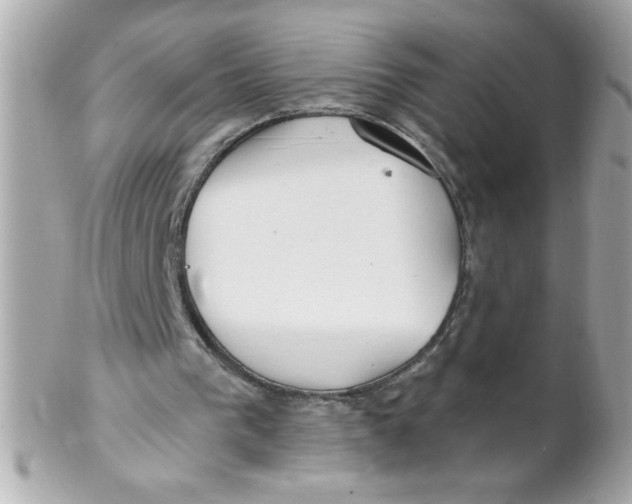 X0000102310193200808152050