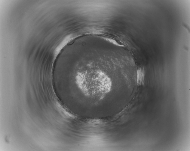 X0000102310195200808152050