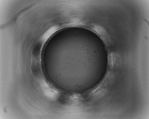 X0000102310196200808152050