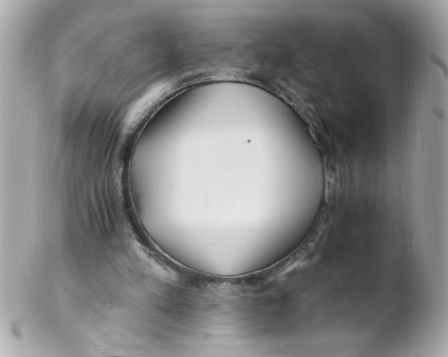 X0000102310197200808152050