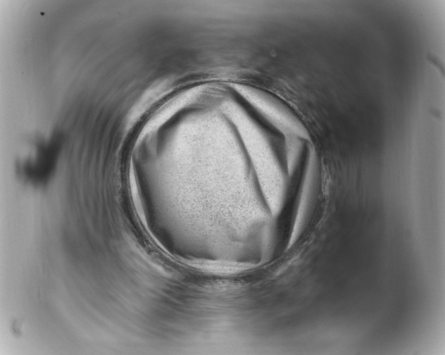 X0000102310198200808152050
