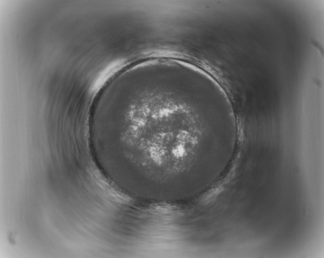 X0000102310199200808152050