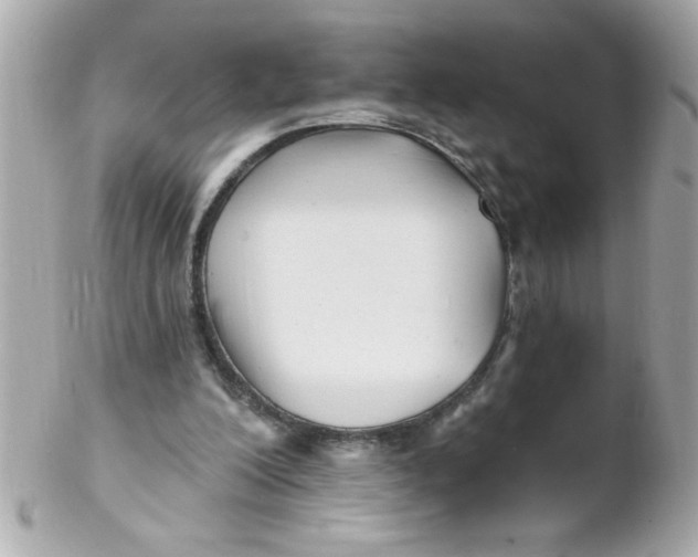X0000102310200200808152049