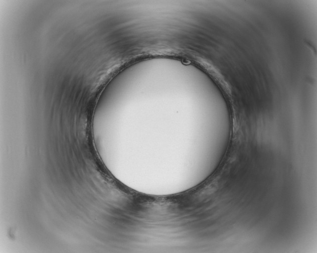 X0000102310201200808152049