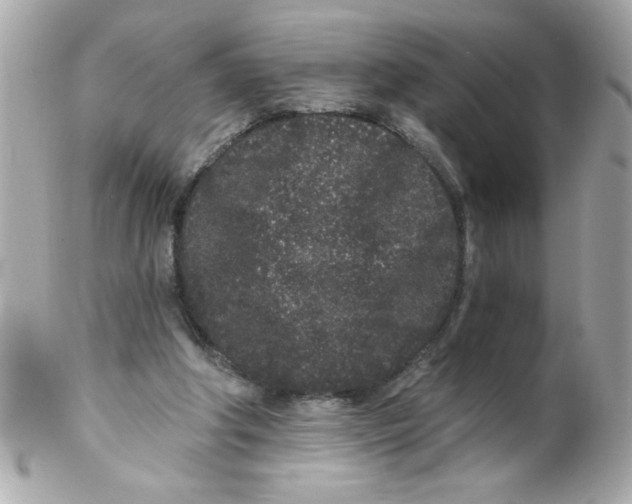 X0000102310202200808152049