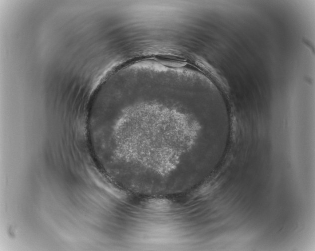 X0000102310203200808152049
