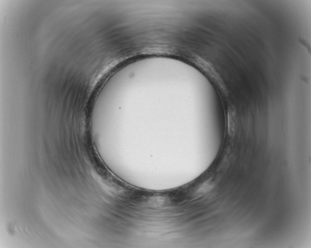 X0000102310204200808152049