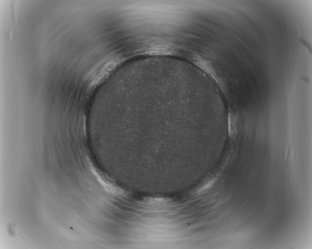 X0000102310205200808152049