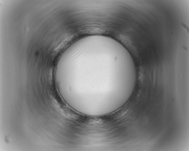 X0000102310206200808152049