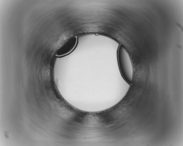 X0000102310207200808152049