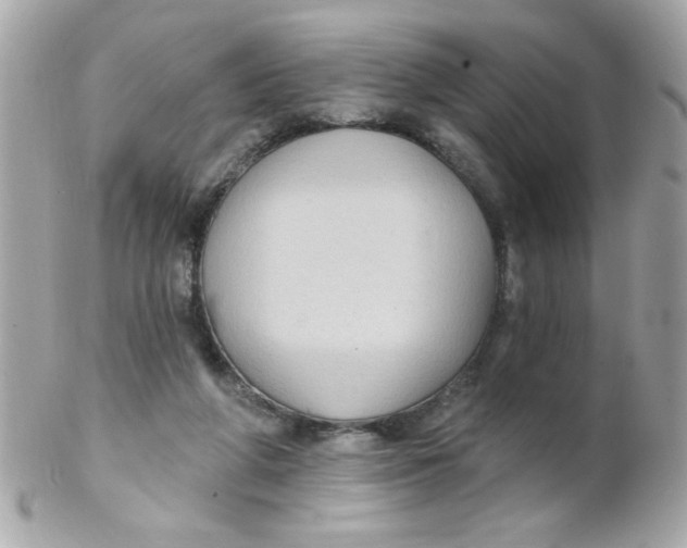 X0000102310210200808152049
