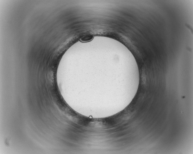 X0000102310211200808152049