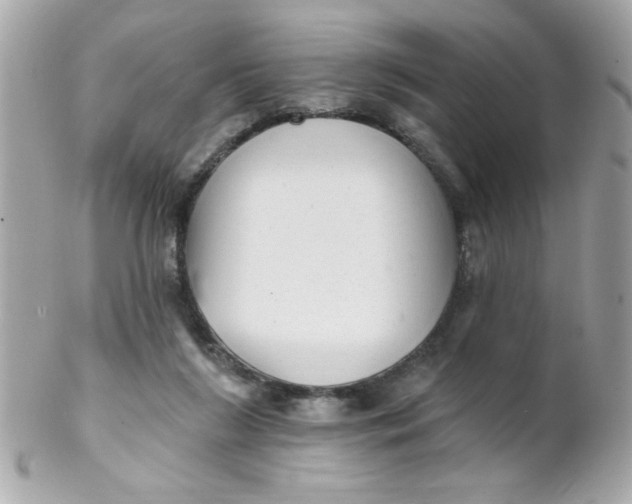 X0000102310212200808152049