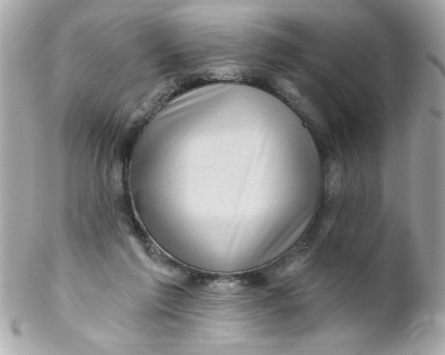 X0000102310213200808152049