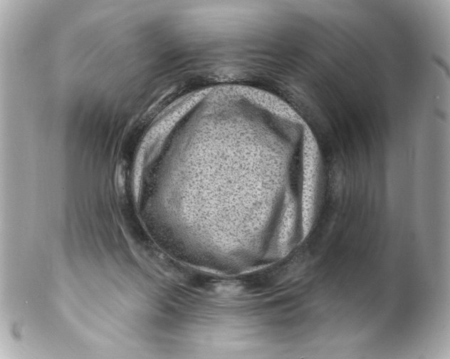 X0000102310214200808152049
